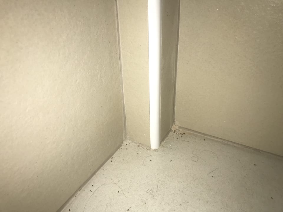 Zimmer TUI BLUE Tropea