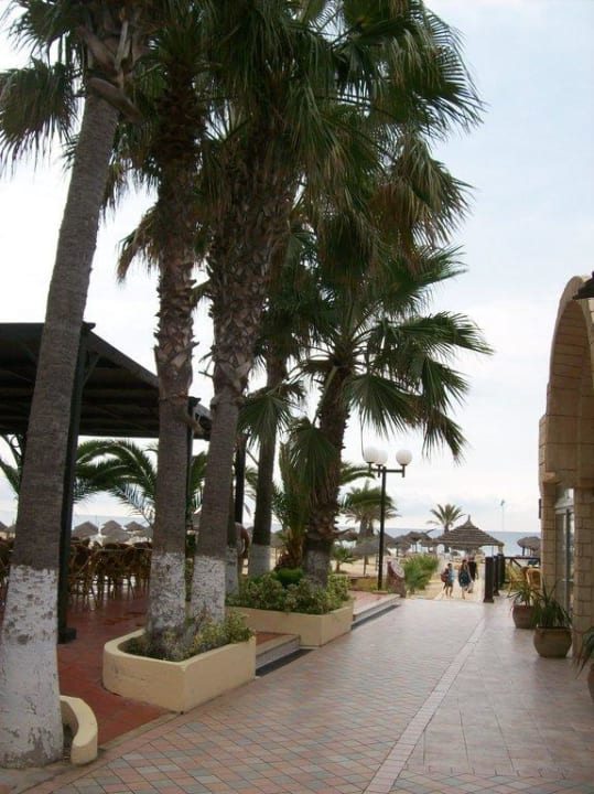 Paradis Palace Hotel Paradis Palace