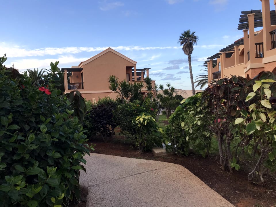 Gartenanlage Bakour Fuerteventura La Pared