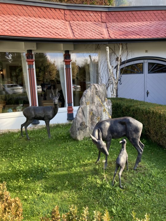 Gartenanlage Waldhof Fuschlsee Resort