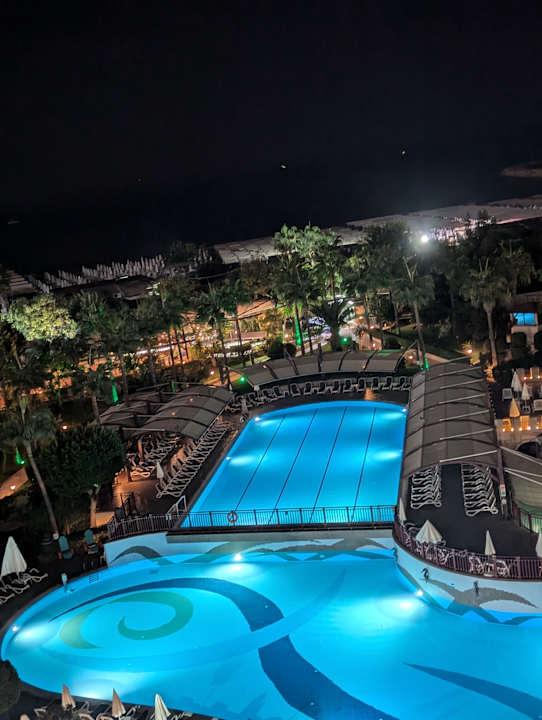 Pool Aydinbey Kings Palace & Spa