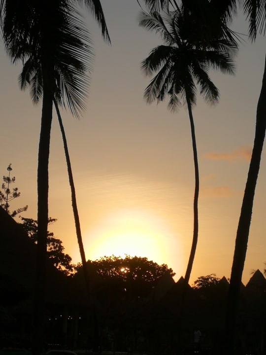 Gartenanlage Neptune Paradise Beach Resort & Spa