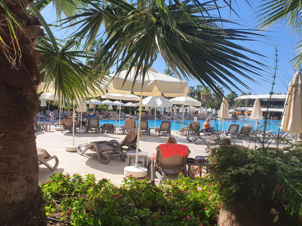 Pool VONRESORT Golden Coast