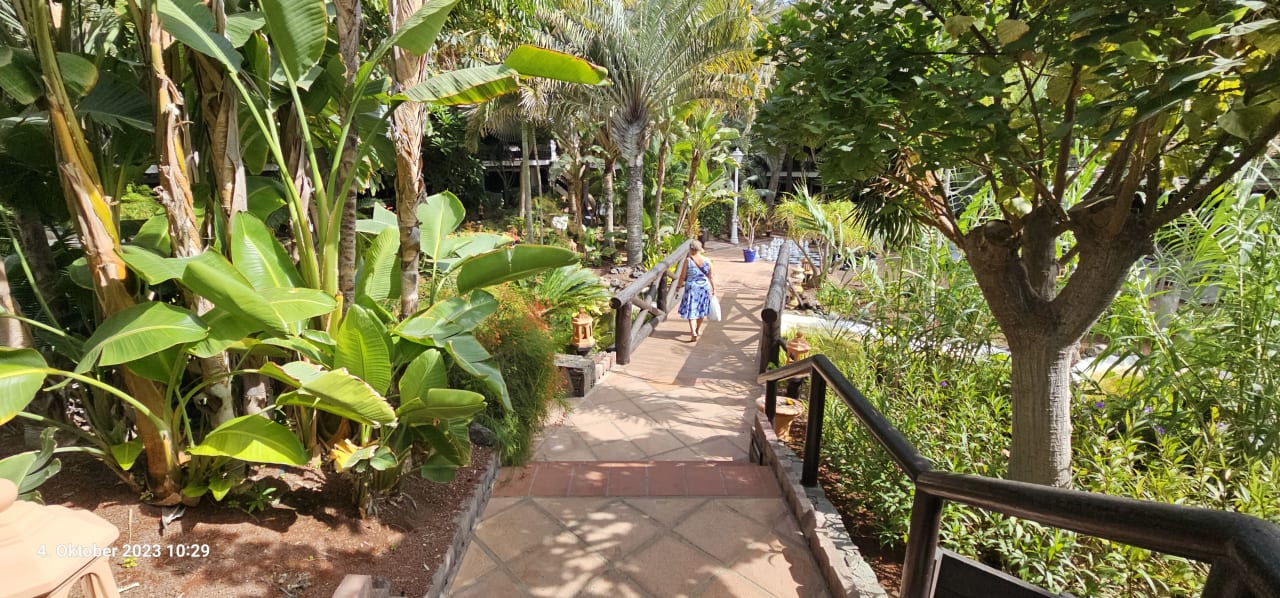 Gartenanlage Hotel Parque Tropical
