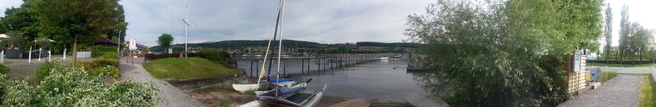 Blick auf den See Hotel Höri am Bodensee