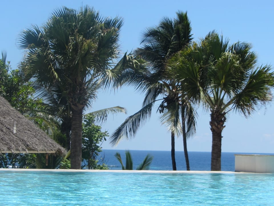 Pool Leisure Lodge Beach And Golf Resort Diani Beach • Holidaycheck Provinz Coast Kenia