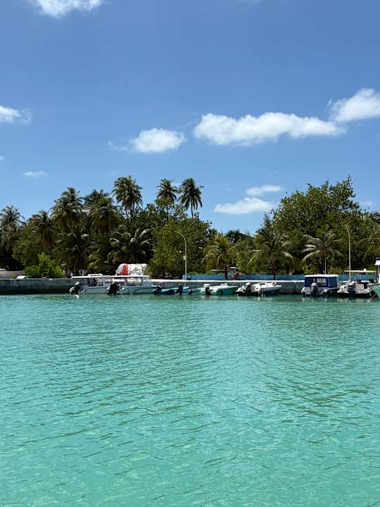 Pool Guesthouse TME Retreats Dhigurah