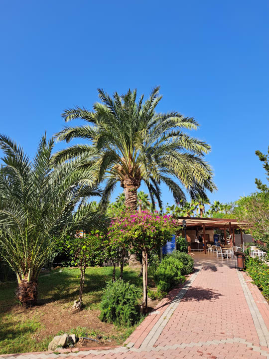 Gartenanlage Seaden Sea World Resort & Spa