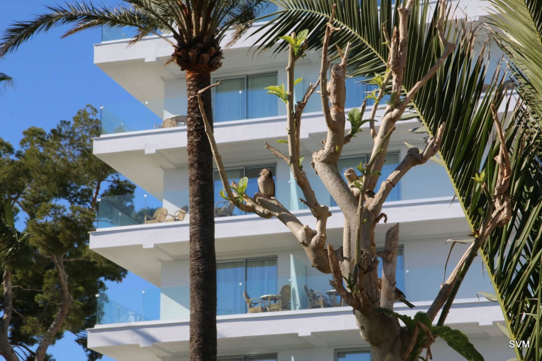 Erst Ende Februar fertig geworden- neue Fassade! Playa Esperanza Resort