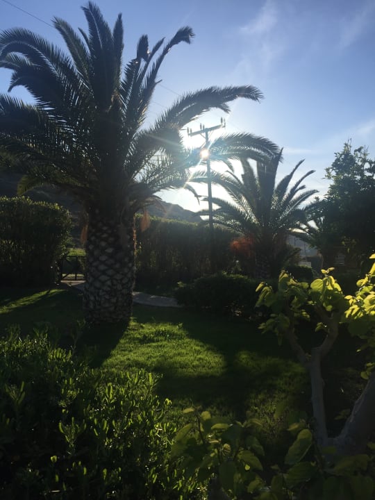 Gartenanlage Bungalow Musuri