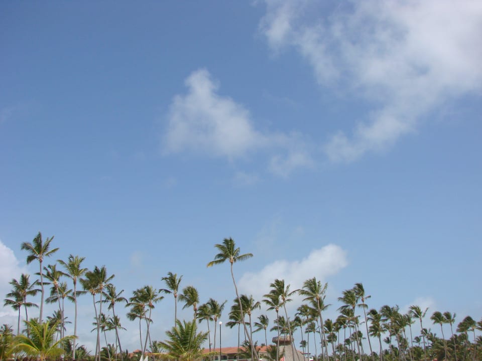 Strand Secrets Royal Beach Punta Cana - Adults only
