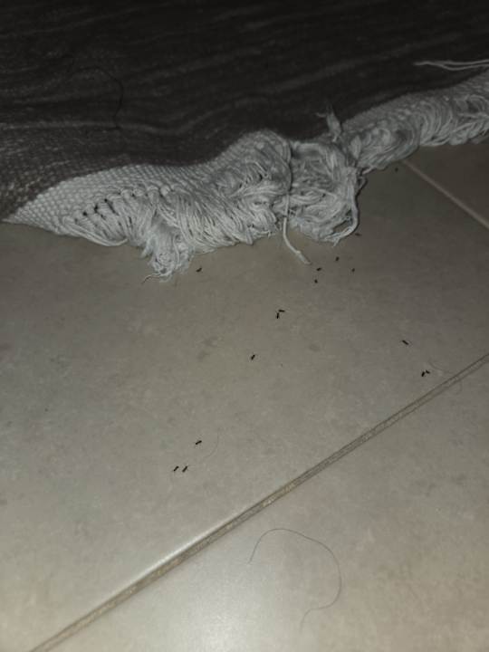 Zimmer Iberostar Waves Mehari Djerba