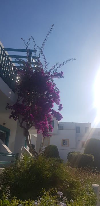 Gartenanlage Mastichari Bay Hotel