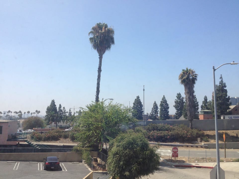 Umgebung Hotel La Mirage Inn Hollywood