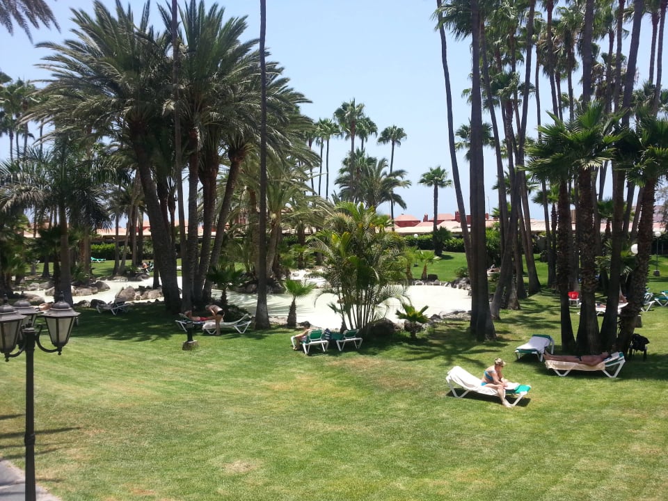 Liegen sowohl am Pool als auch im Garten Hotel Riu Palace Oasis