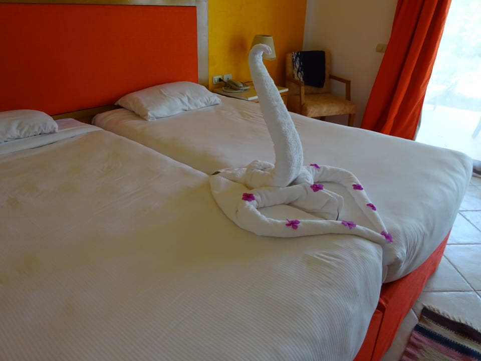 Zimmer Hotel Gorgonia Beach Resort
