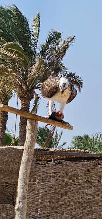 Sonstiges Wadi Lahmy Azur Resort