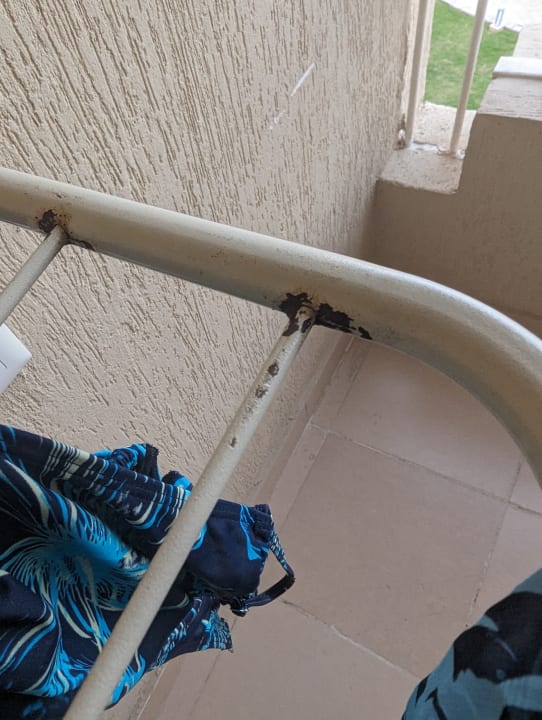 Zimmer Beach Albatros Resort