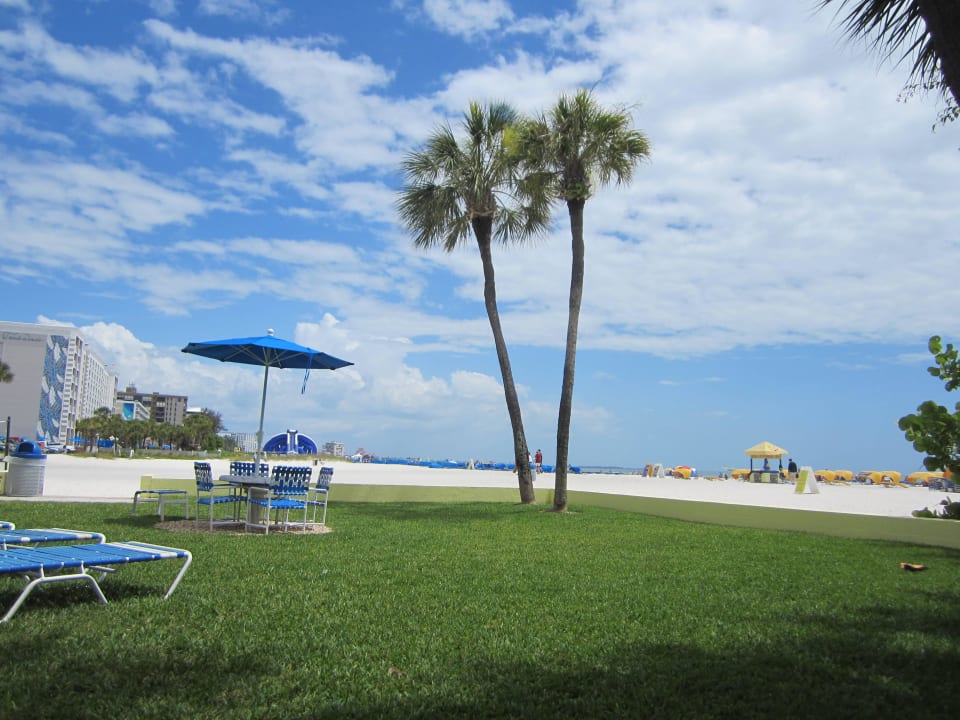 Liegewiese Hotel The Alden Resort