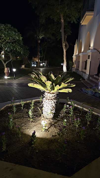 Gartenanlage Jaz Makadi Oasis Resort