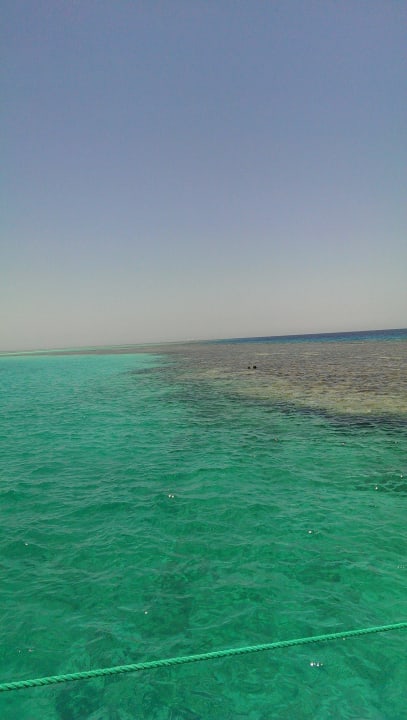 Das Rote Meer Pickalbatros Palace Resort