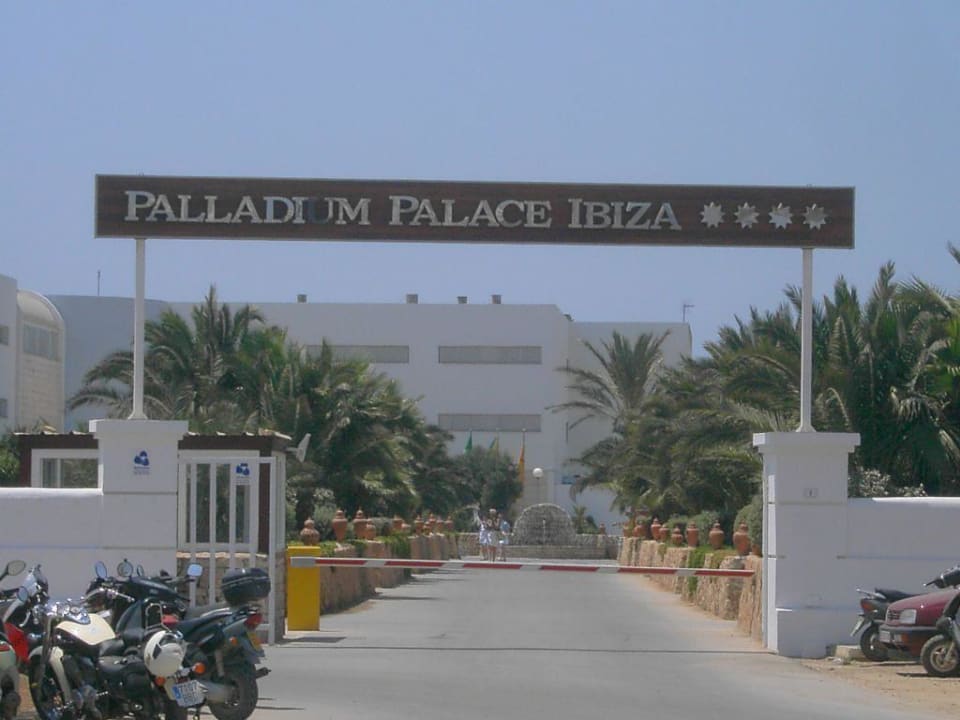 Frank & Family aus Much Grand Palladium Select Palace Ibiza