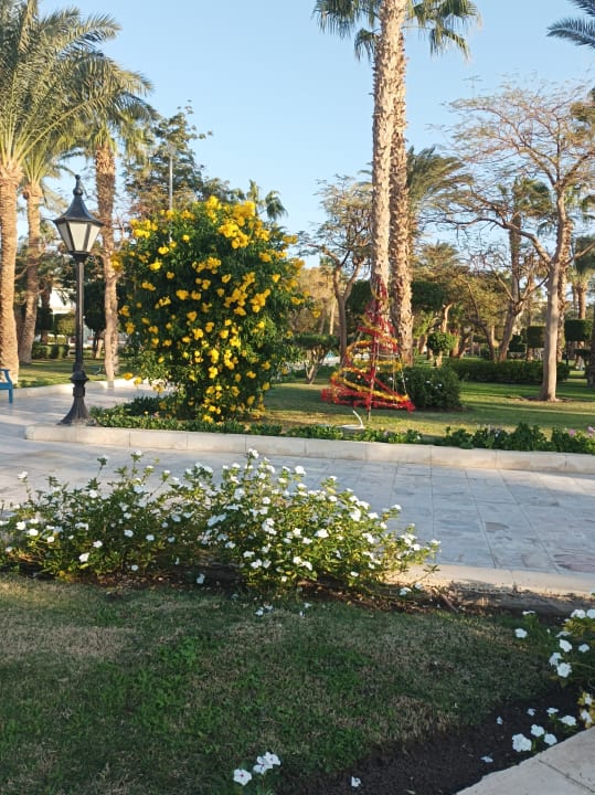 Gartenanlage The Grand Hotel Hurghada