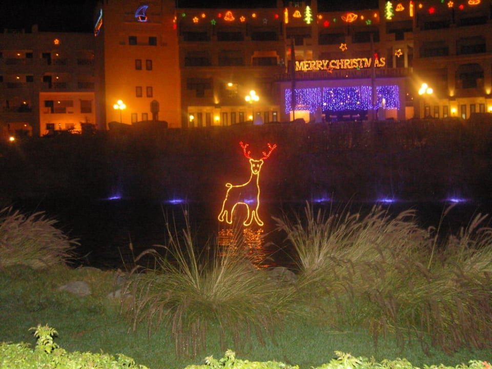 Von der Strasse Steigenberger ALDAU Beach Hotel