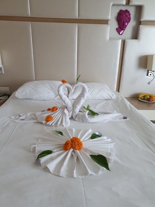 Zimmer Hotel Botanik Platinum