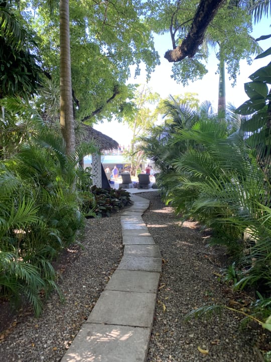 Gartenanlage Viva Heavens by Wyndham - All Inclusive Resort