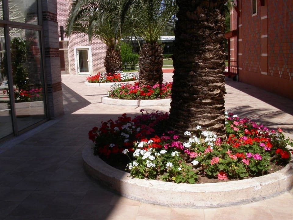 Gartenanlage Megasaray Club Belek