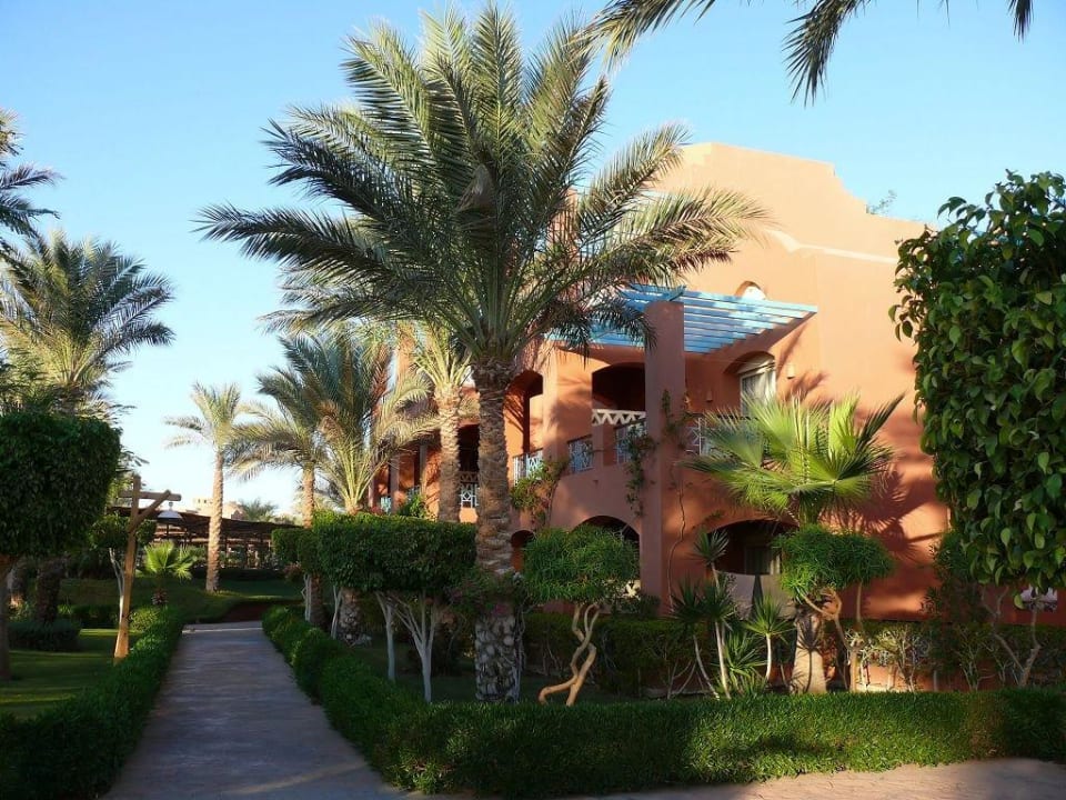 Garten TUI MAGIC LIFE Redsina Sharm El Sheikh