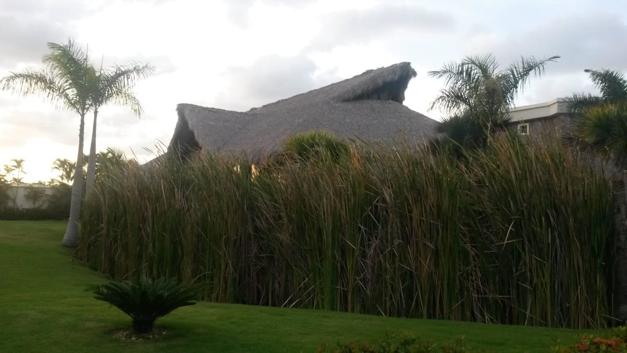 Buffetrestaurant von außen Royalton Splash Punta Cana