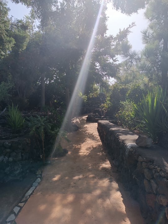 Gartenanlage Hacienda La Centenaria