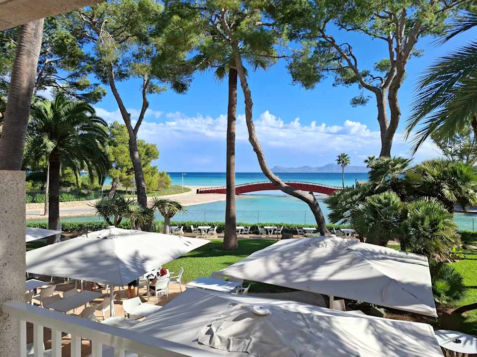 Ausblick allsun App.-Hotel Orquidea Playa