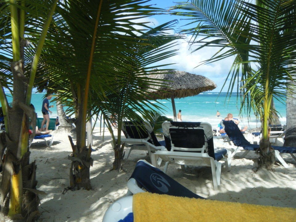 Schattenspendende Palmen Grand Palladium Select Bávaro Resort & Spa