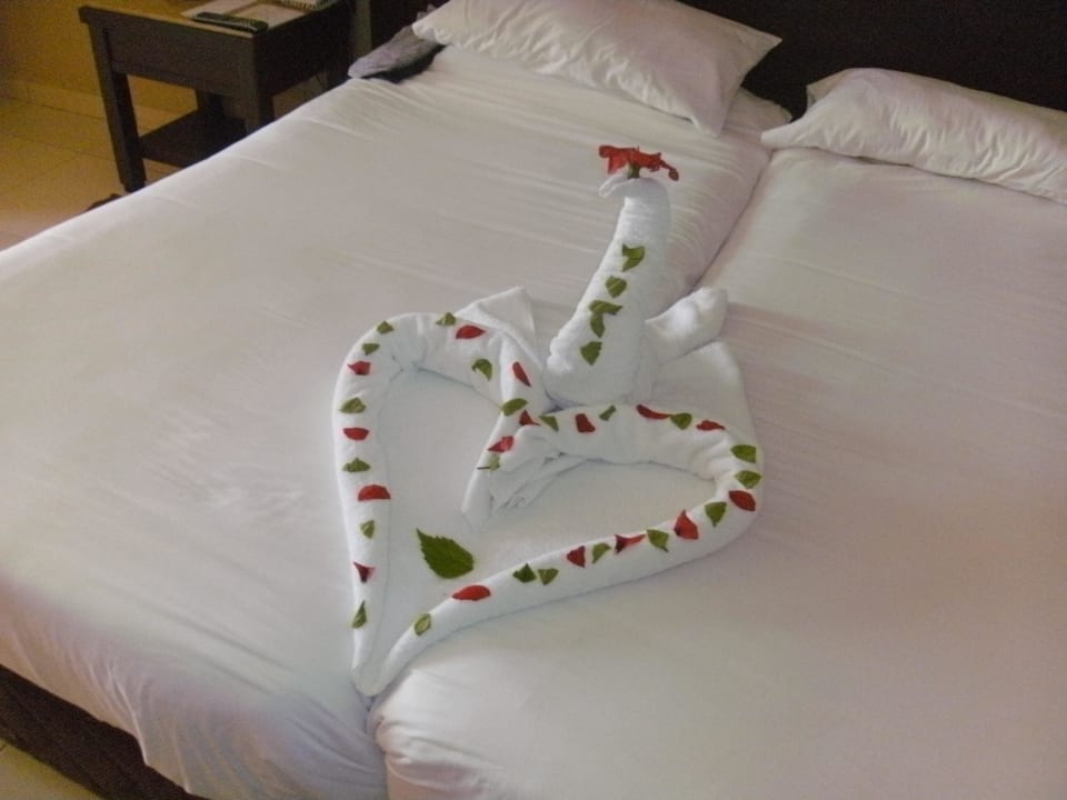 Bettdeko Jaz Dar EL Madina