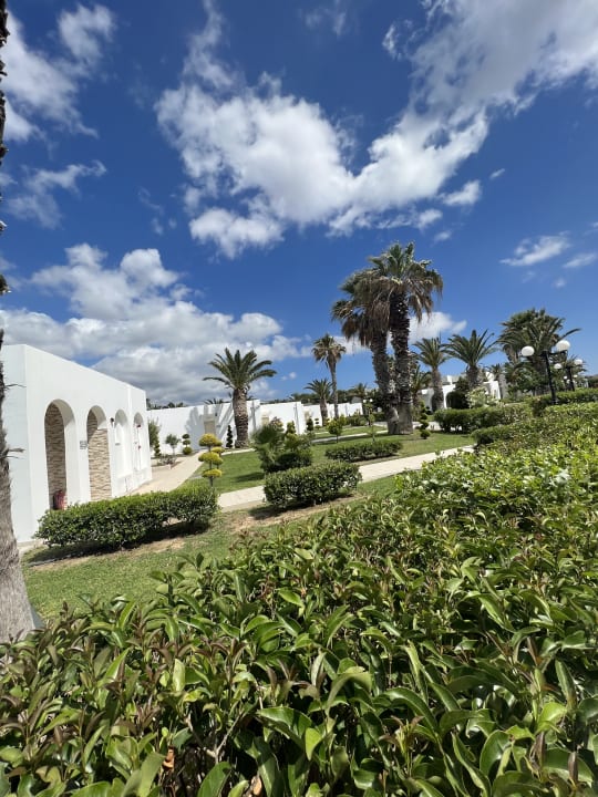 Gartenanlage Smy Kos Beach & Splash