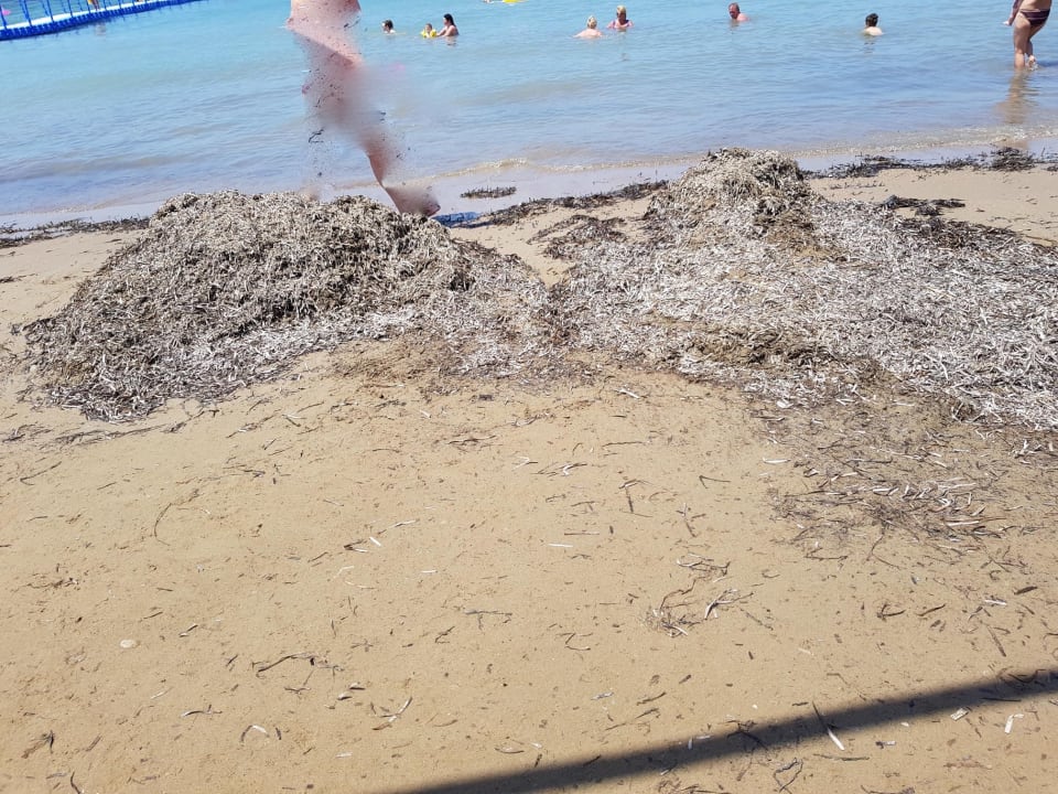 Strand Sidemarin Kirman Premium