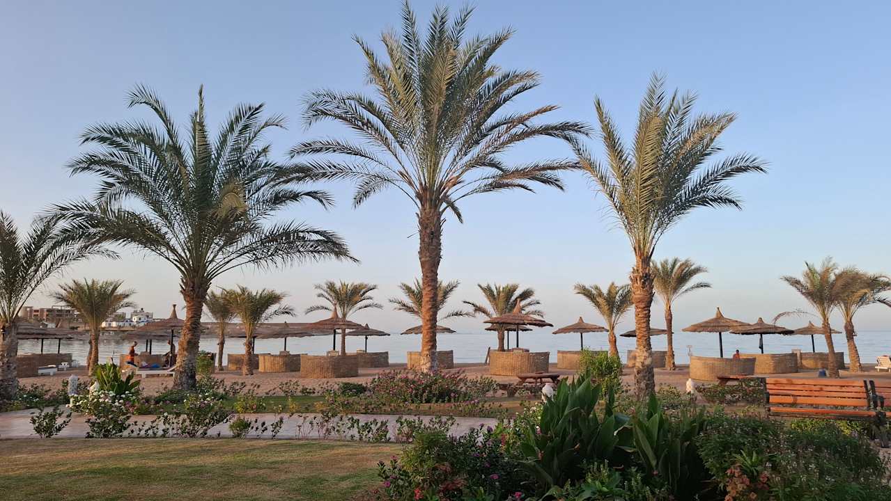 Strand Coral Sun Beach