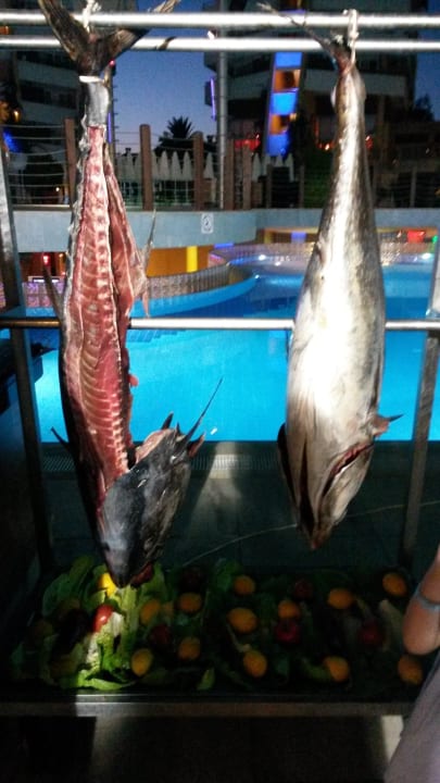 Galaabend Alaiye Resort & Spa