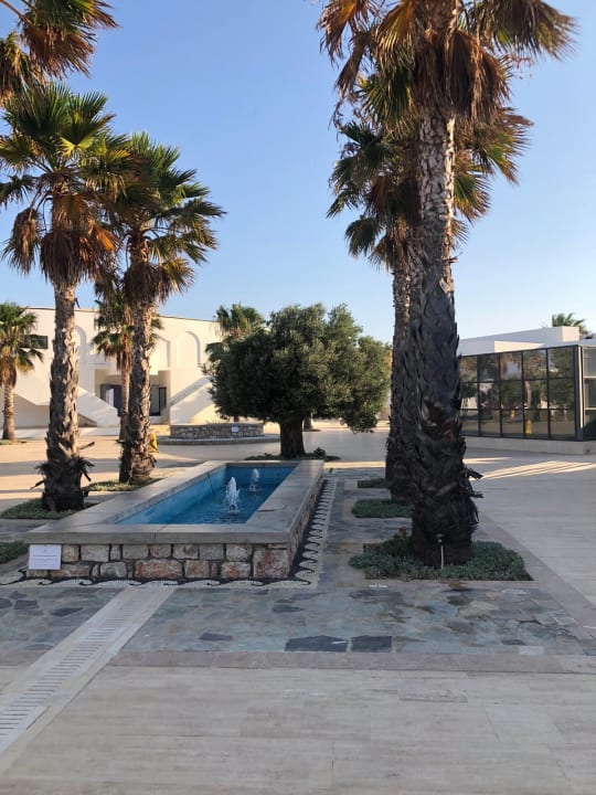 Pool Atlantica Plimmiri