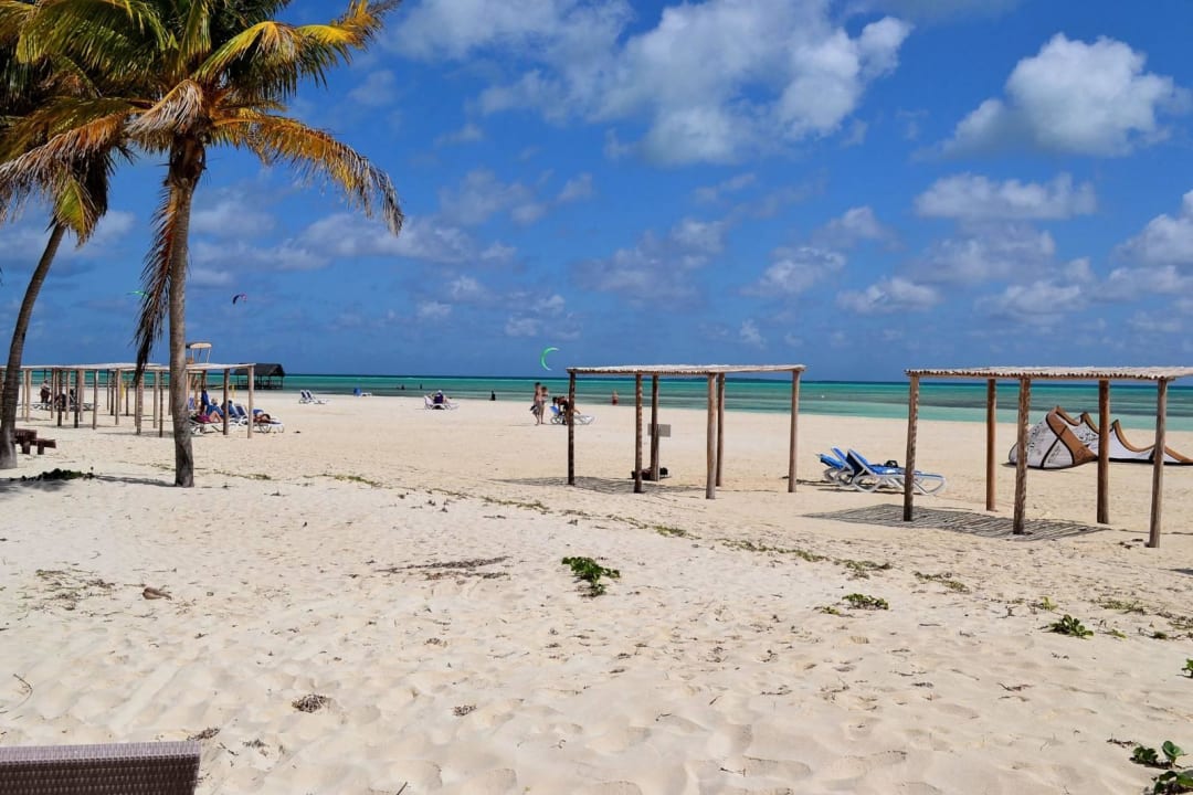 Duża, szeroka Starfish Cayo Guillermo