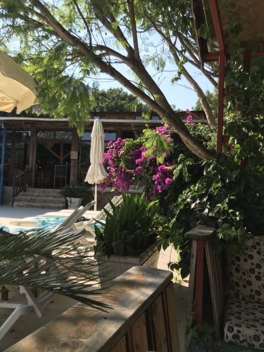 Ausblick LYKIA lodge | home of happiness