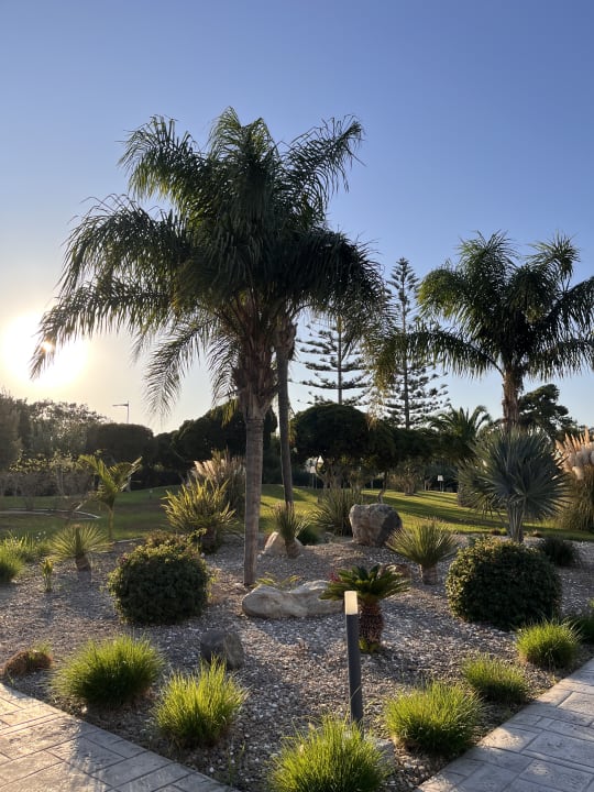 Gartenanlage TUI BLUE Oceanis Beach and Spa Resort