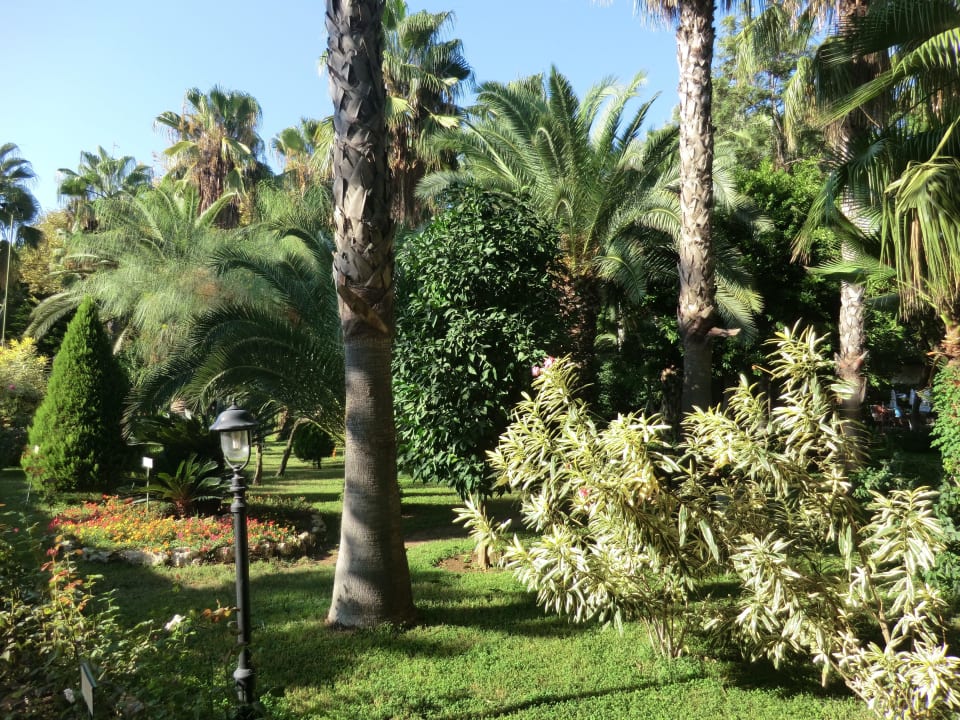 Botanischer Garten Botanik Hotel & Resort
