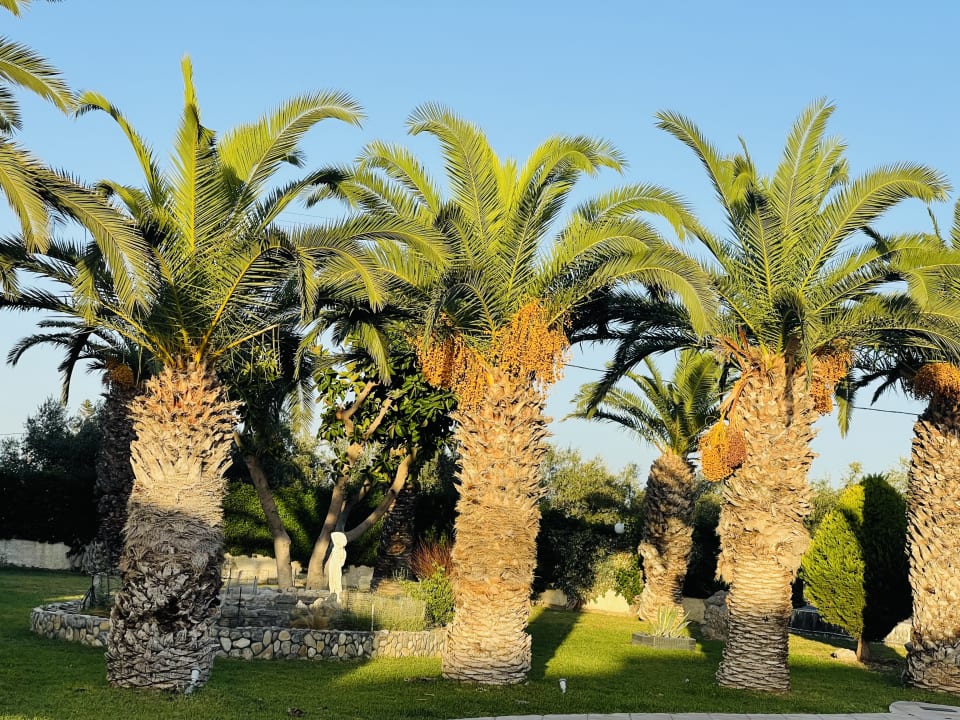 Gartenanlage Corali Hotel