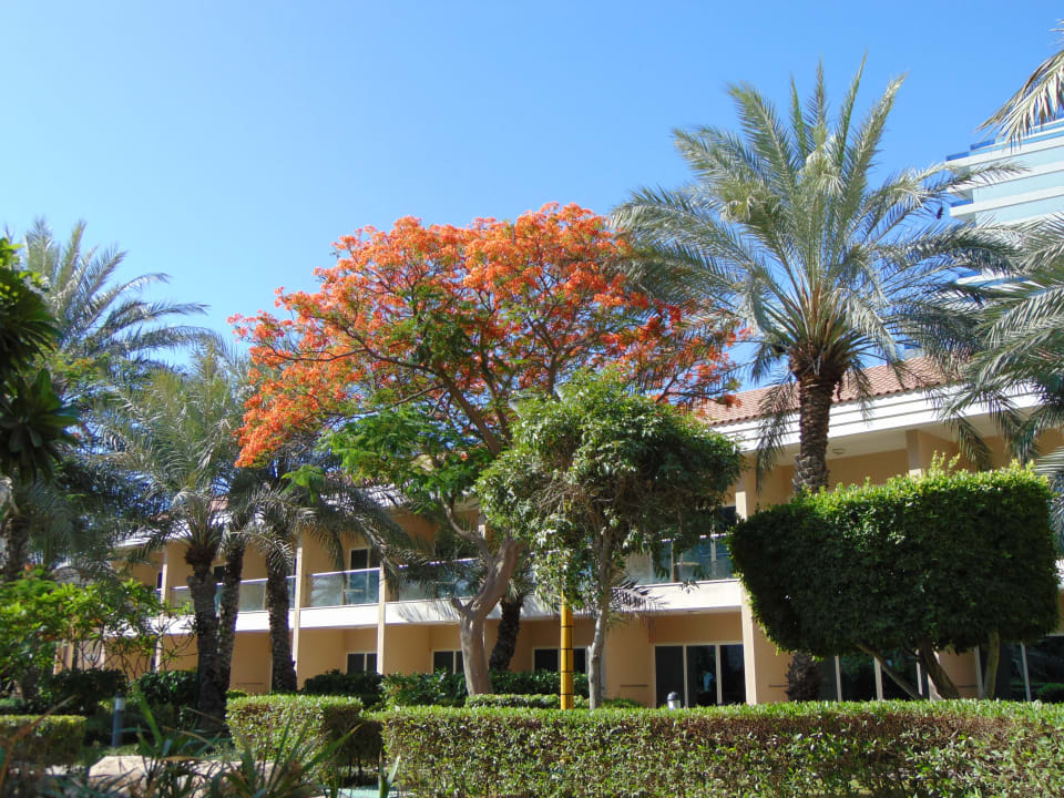 Außenansicht Fujairah Rotana Resort & Spa
