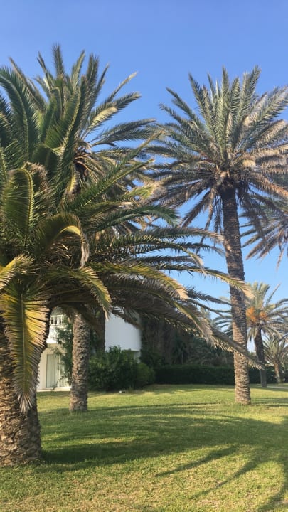 Gartenanlage Oceana Hotel & Spa