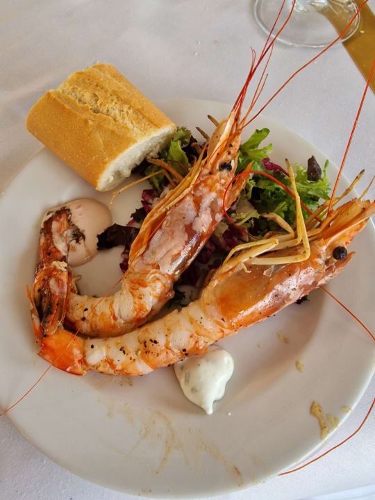 Gastro Aldiana Club Andalusien